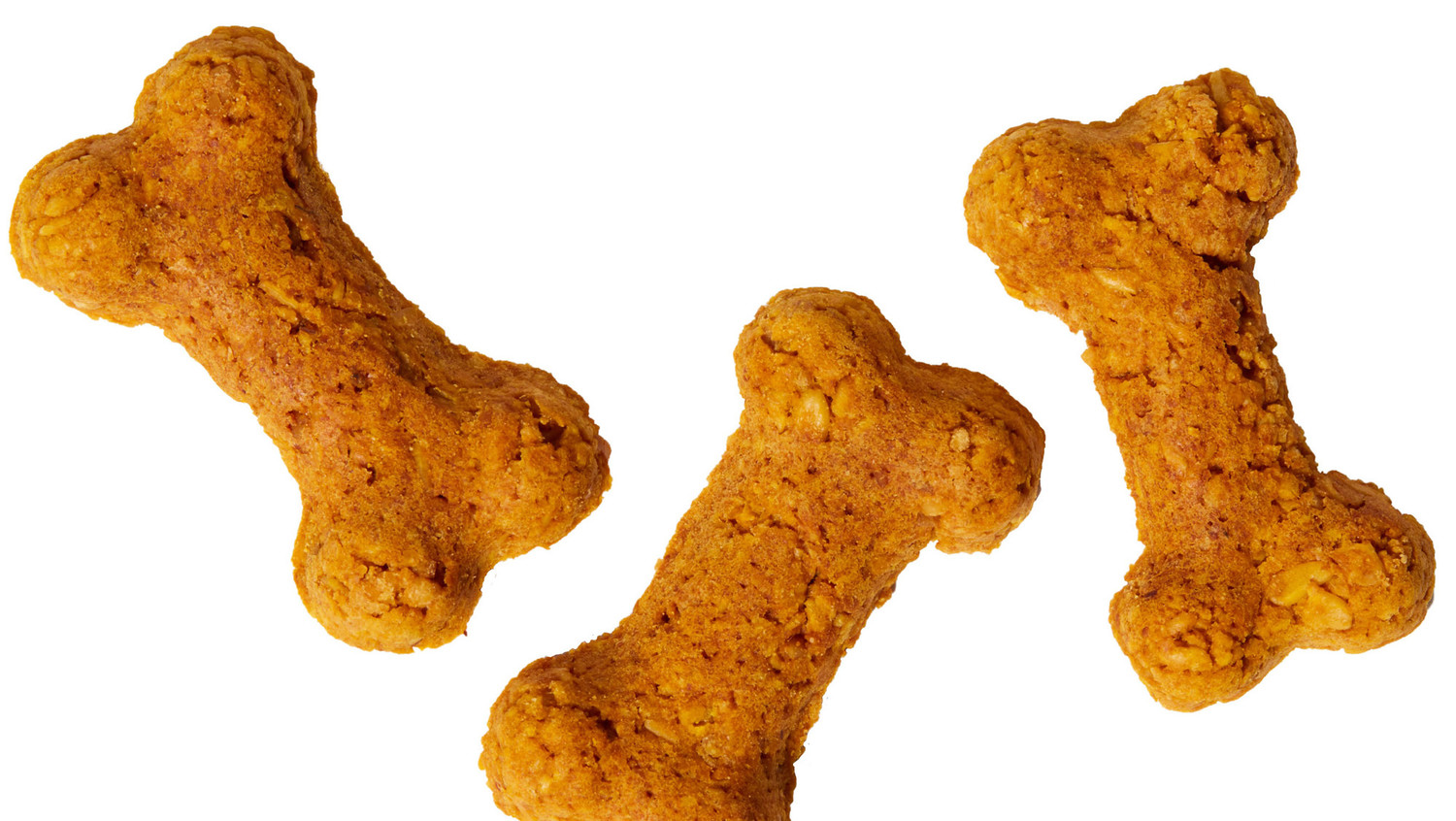 Pumpkin Dog Biscuits pumpkin-dog-biscuits