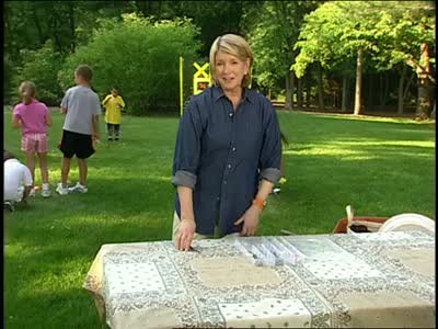 Video Tablecloth Weights For Outdoor Eating Martha Stewart