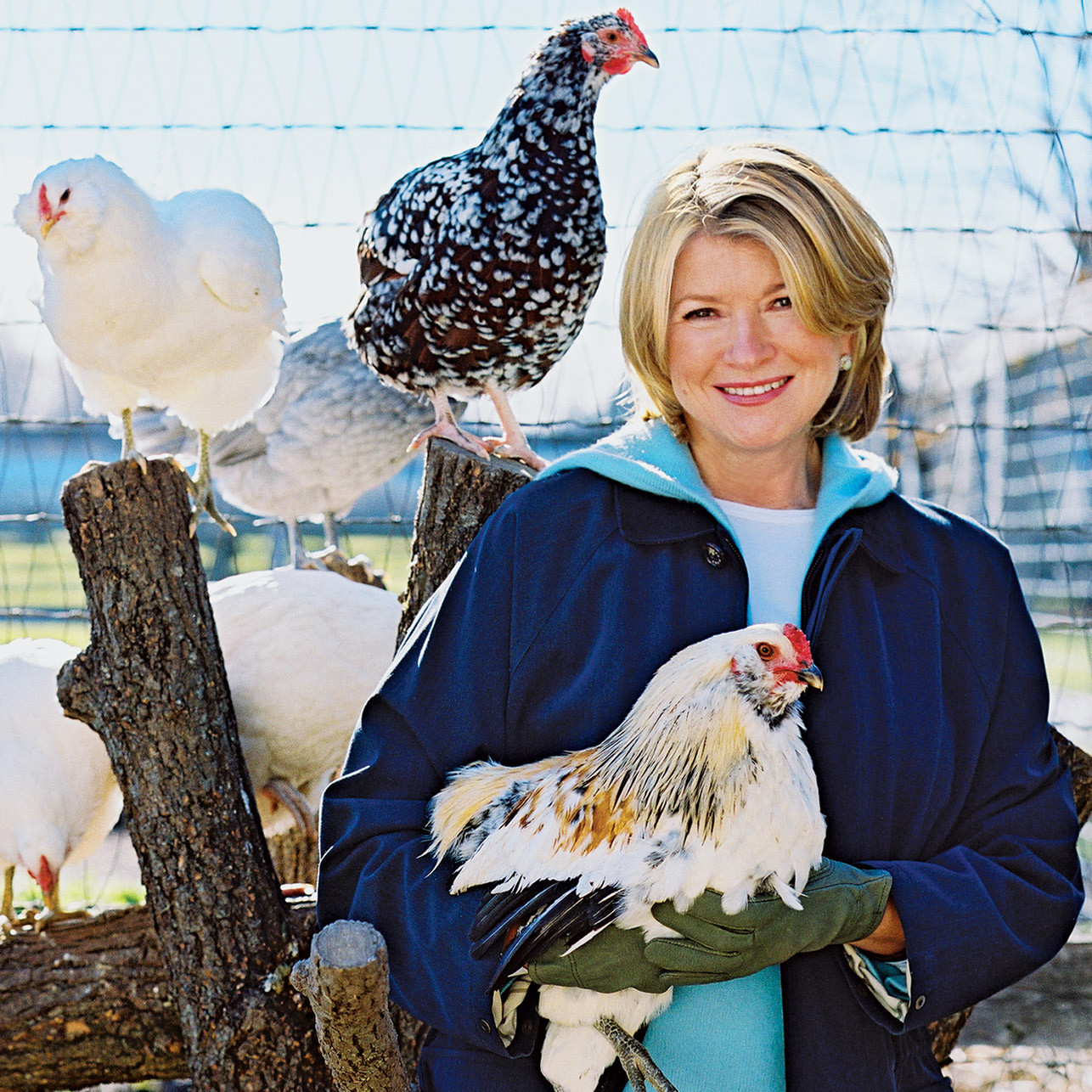 Martha's Farm Animals | Martha Stewart