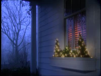 Video Winter Greenery Window Boxes Martha Stewart