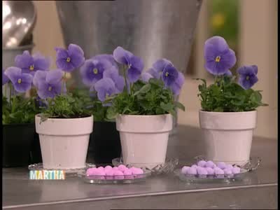 Video: How to Make Pansy and Viola Centerpieces | Martha