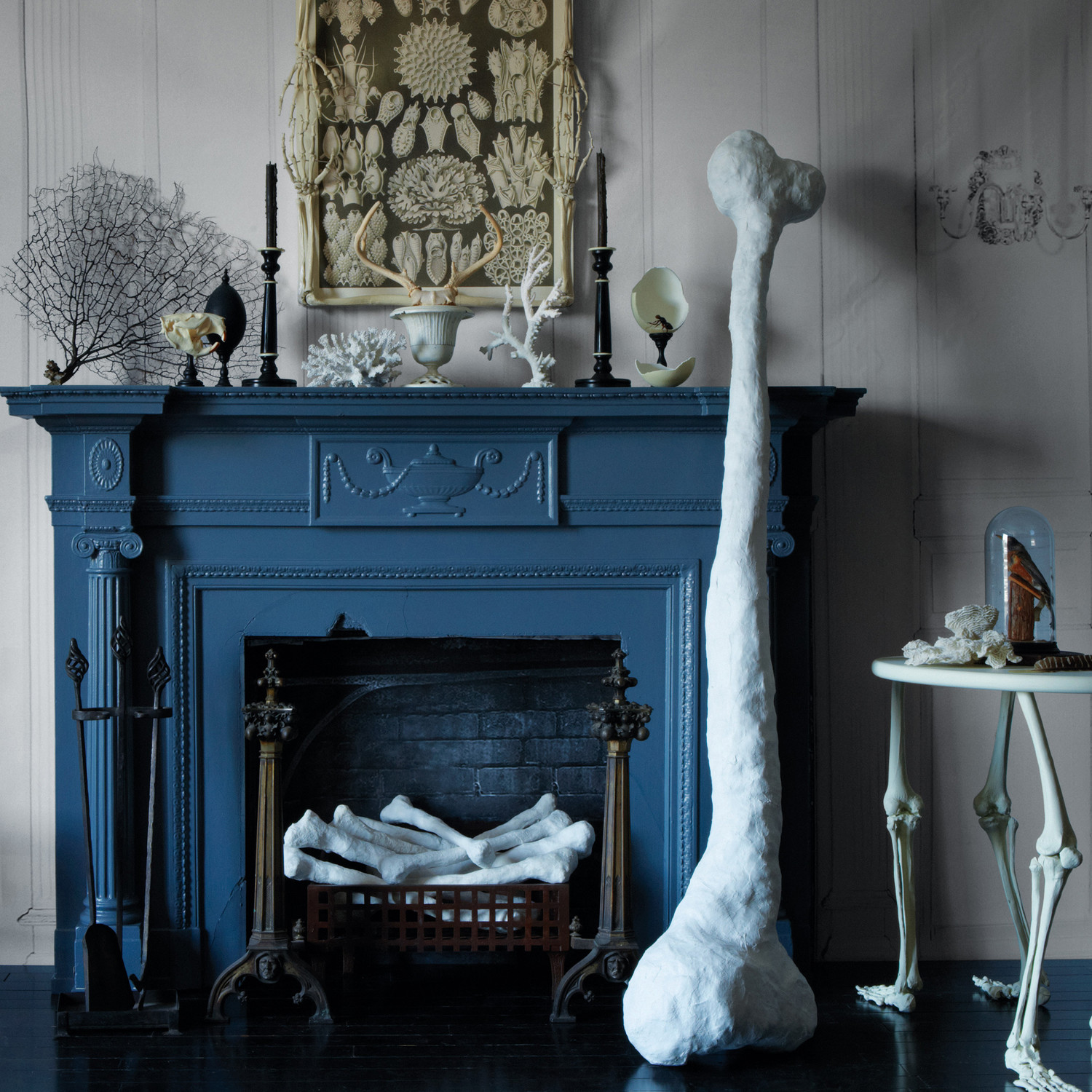 Plaster Bones Martha Stewart