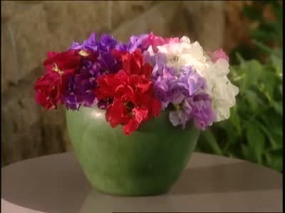 Video How To Arrange Sweet Pea Flowers In A Vase Martha Stewart