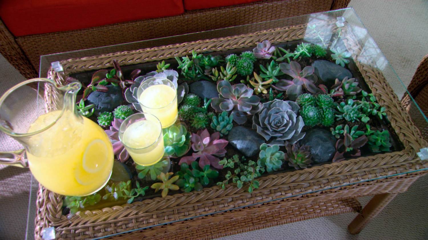 Video: Learn & Do: How to Make a Terrarium Coffee Table 