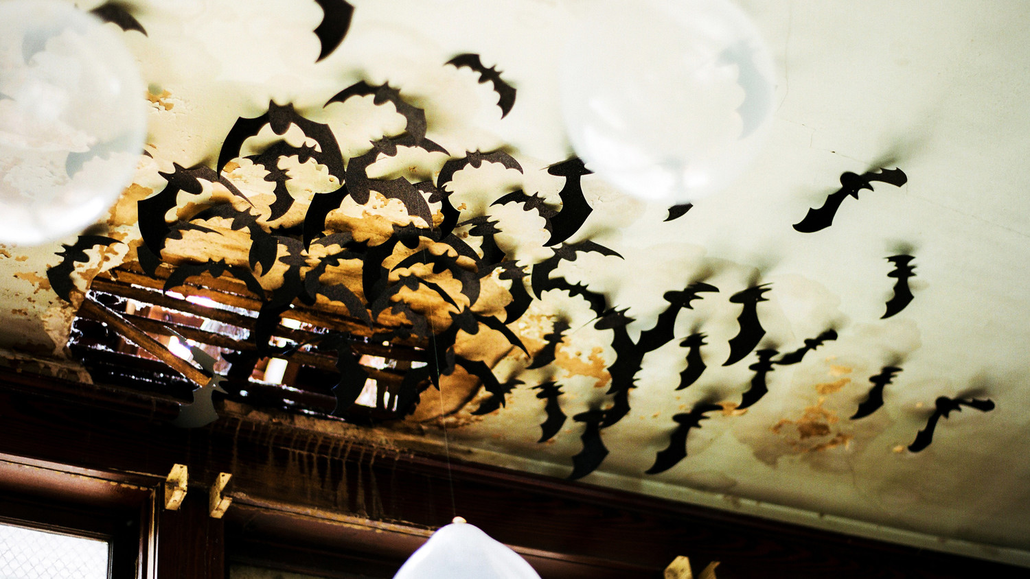 eli skeleton masquerade birthday party bat ceiling decorations