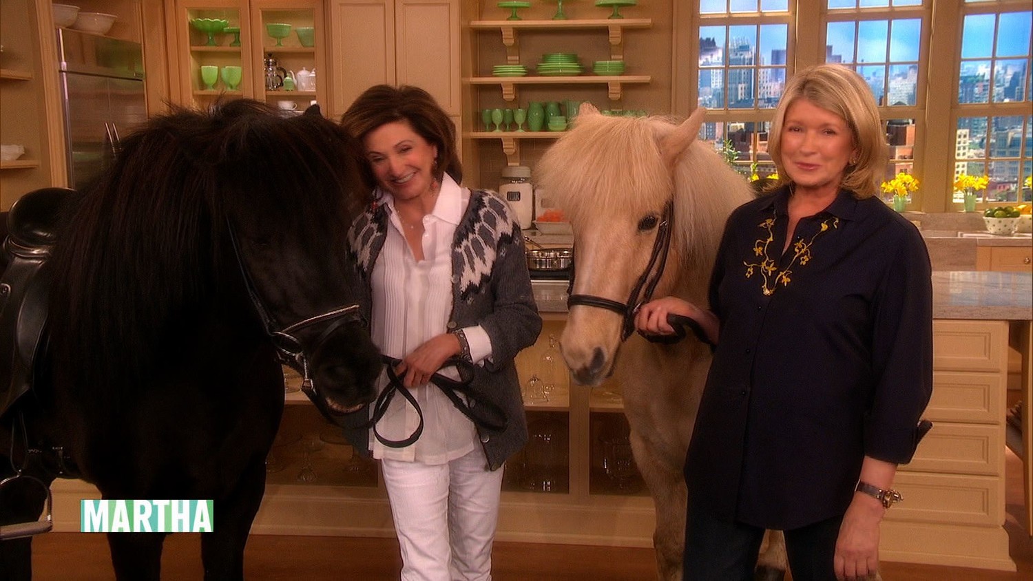 Video Iceland Show with First Lady Dorrit Moussaieff Martha Stewart