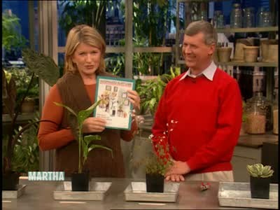 A Talk With Tony Avent Of Plant Delights Nursery A Talk With Tony Avent Of Plant Delights Nursery