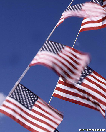 Spectacular Martha Stewart American Flag Design Concept Spectacular Martha Stewart American Flag Design Concept