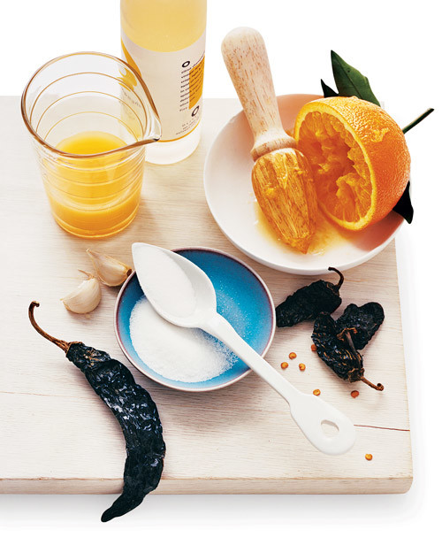 Marinades, Barbecue Sauces, and Rubs Martha Stewart