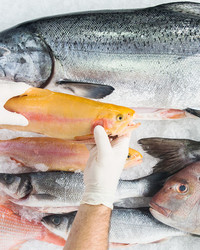 Storing Fish: What You Need to Know | Martha Stewart