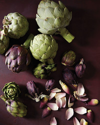 Crisp Martha Stewart Artichokes Abstract for Your Screen Crisp Martha Stewart Artichokes Abstract for Your Screen
