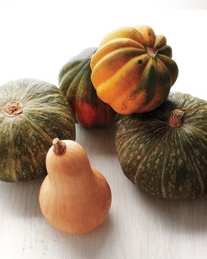 Squash and Pumpkin Recipes