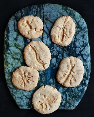 Fossil Cookies_image