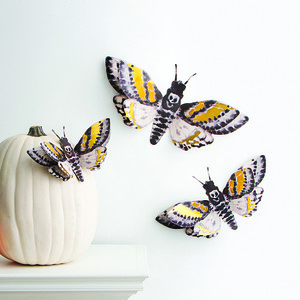 martha stewart moth dimensional dcor