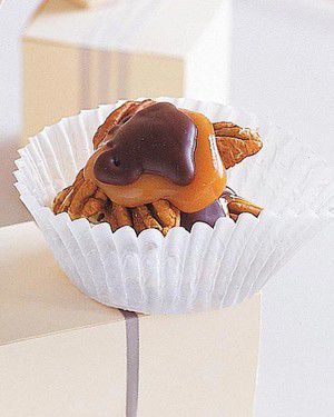 Chocolate-Covered Turtles_image