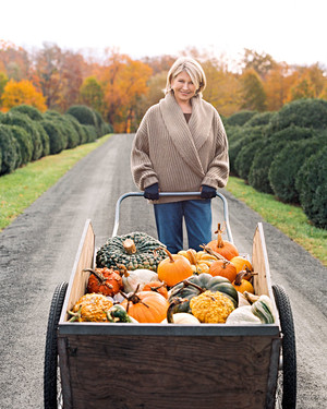 16 of Our Best Fall Harvest Decorating Ideas for Your Home