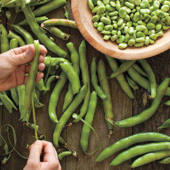 beans legumes martha stewart
