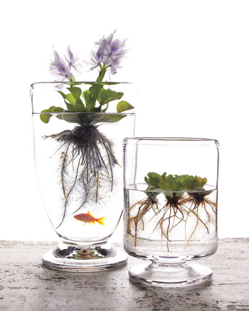 outdoor party centerpieces martha