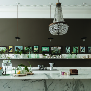 Farrow and Ball kitchen walls in Salon Drab No.290