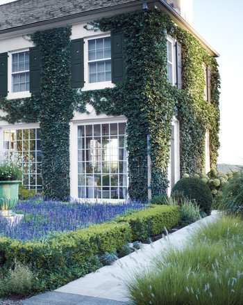 Video Learn To Landscape Your Home With Boxwood Shrubs Video Learn To Landscape Your Home With Boxwood Shrubs