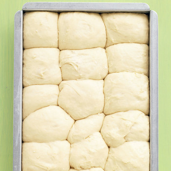 instant pot no knead dinner rolls