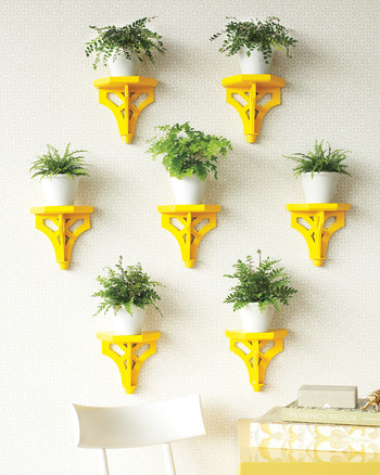 plant-brackets-yellow-0911mld107506.jpg