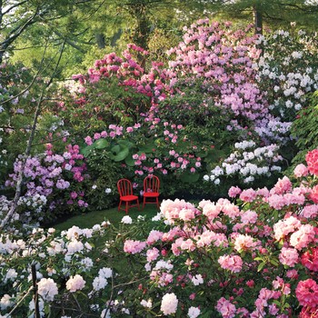 The Best Gardens to Visit Around the U.S.