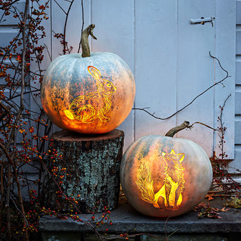 etched woodland animal pumpkins fox rabbit halloween decorations