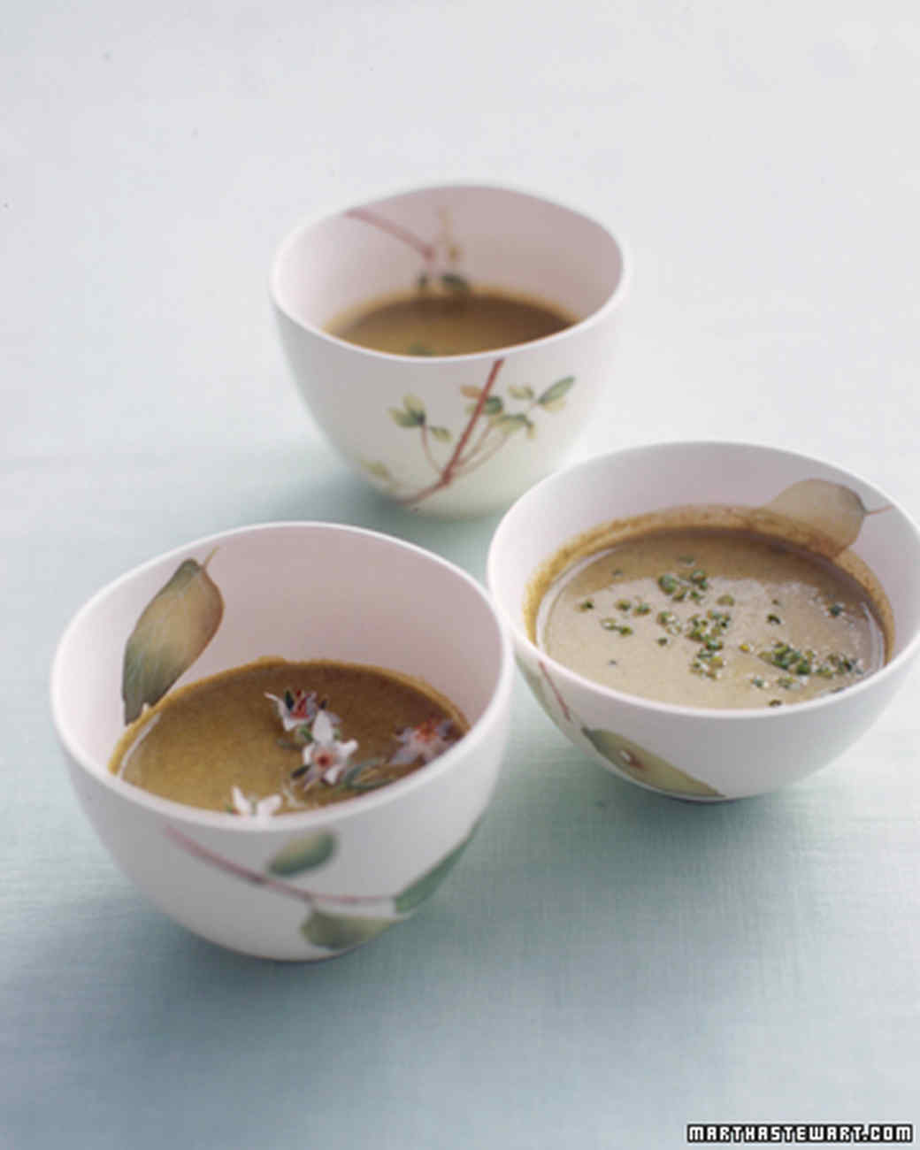 Warm and Comforting Soups Martha Stewart