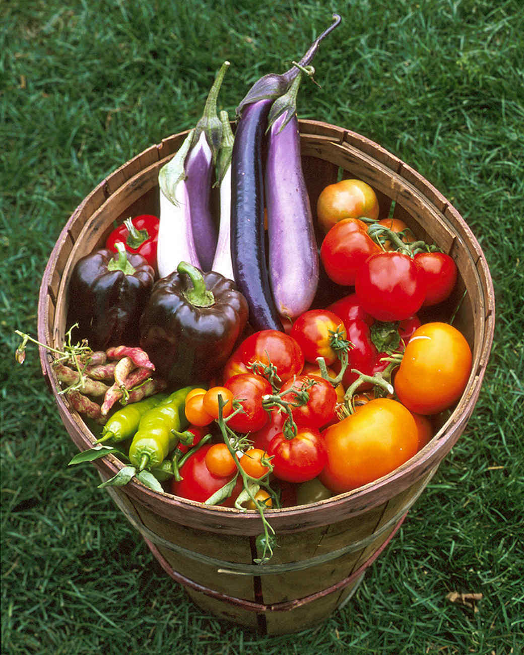 Planning Your Vegetable Garden Martha Stewart