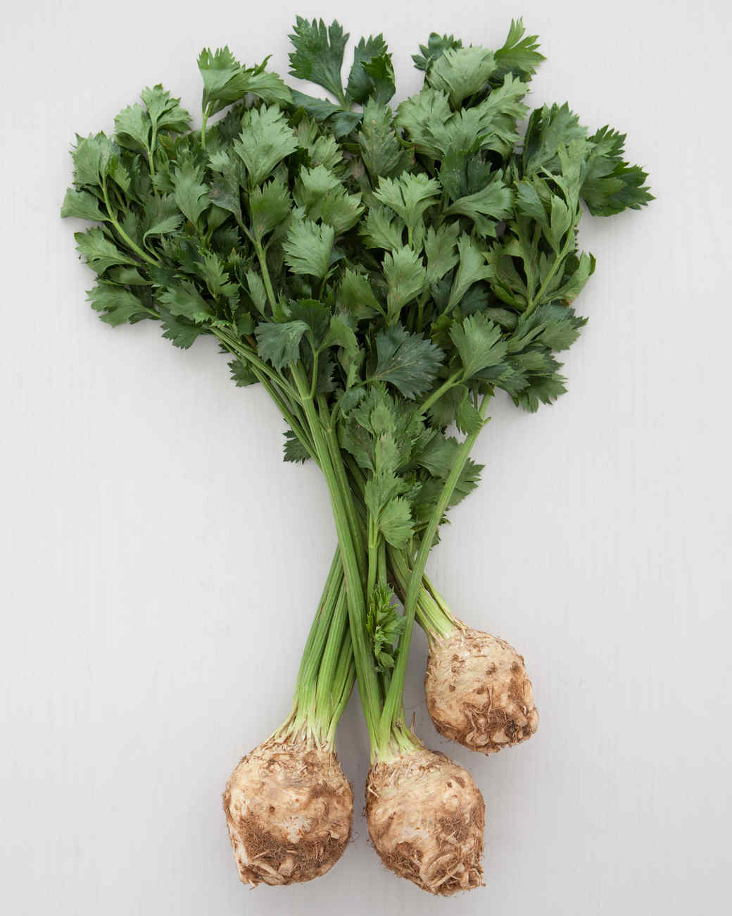 Celery Root Recipes Martha Stewart Celery Root Recipes Martha Stewart