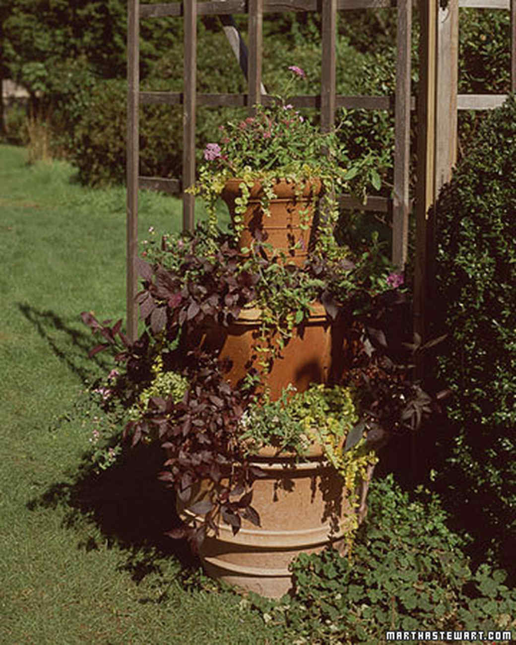 decorative flowerpots and planters