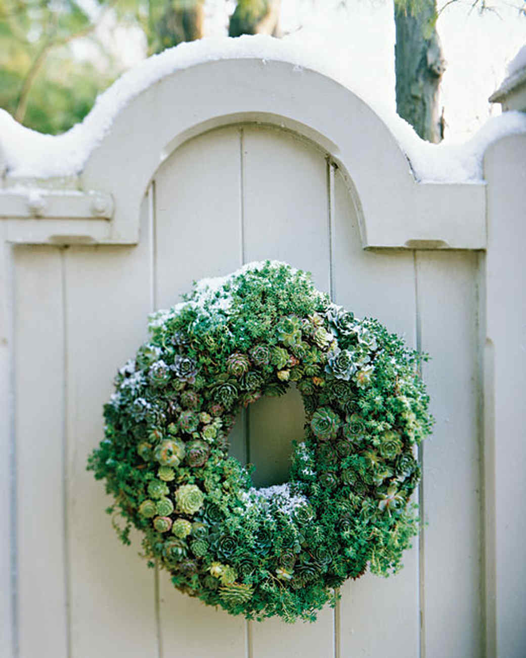 Wreaths Growing in Circles Martha Stewart