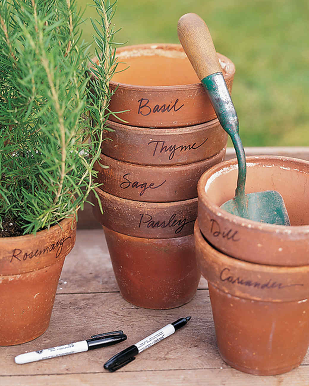 Decorative Flowerpots and Planters Martha Stewart