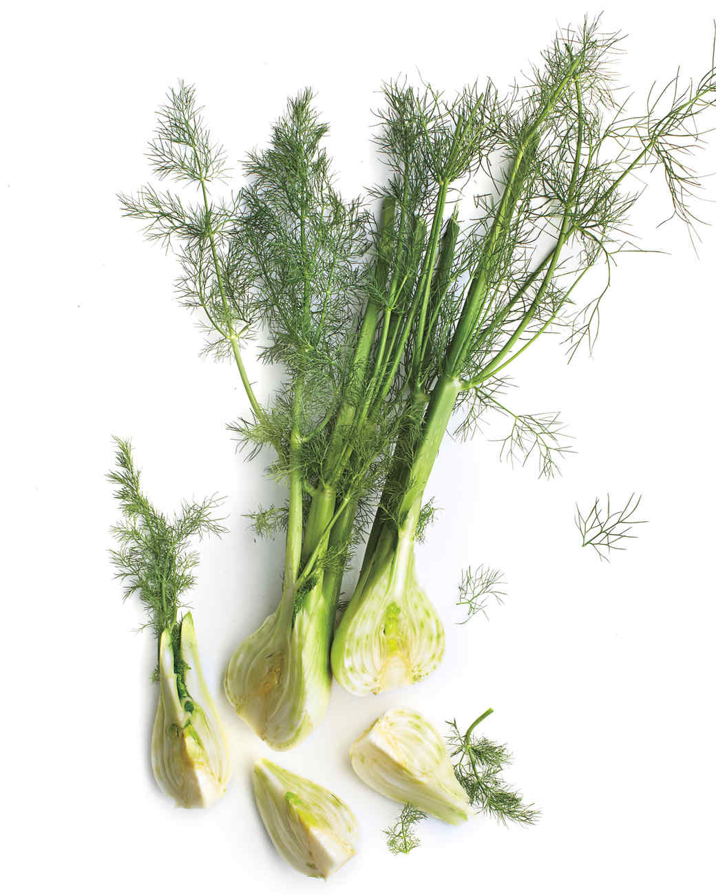 25 Truly Fabulous Fennel Recipes | Martha Stewart