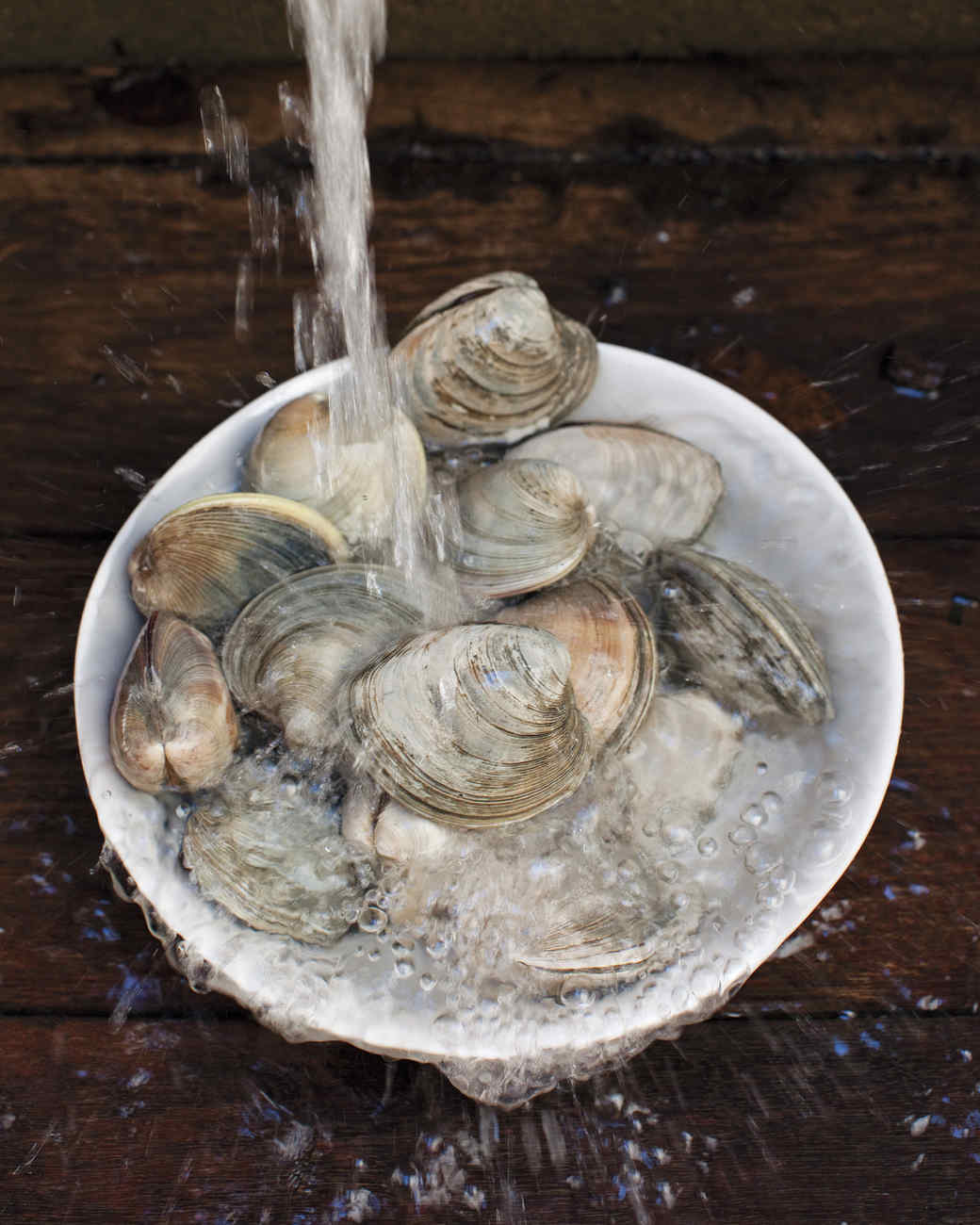 A Rhode Island Clam Dig Martha Stewart