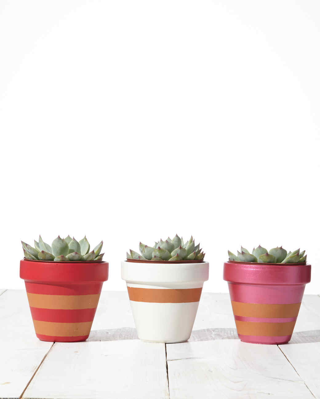 12 Ways to Personalize Terra Cotta Pots Martha Stewart