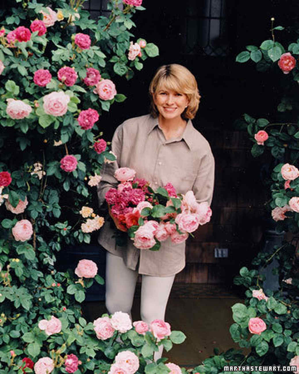 The Secrets Of Martha S Rose Garden Martha Stewart