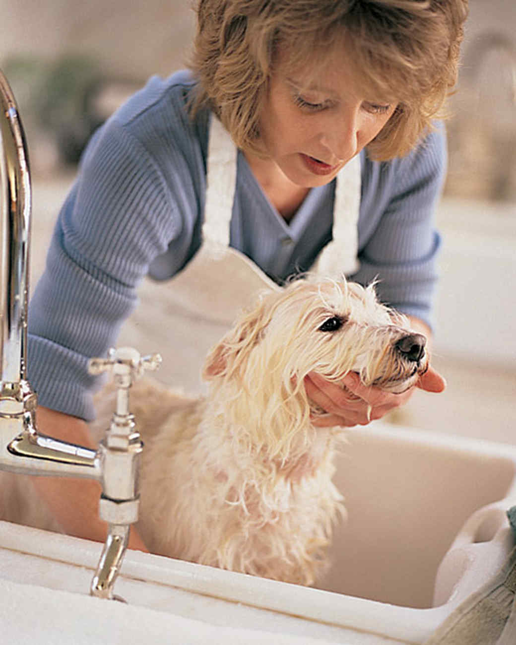 Cat and Dog Grooming Tips | Martha Stewart