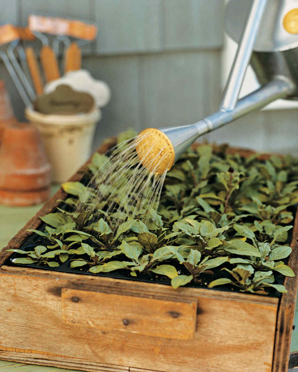 Garden Tool Glossary Martha Stewart