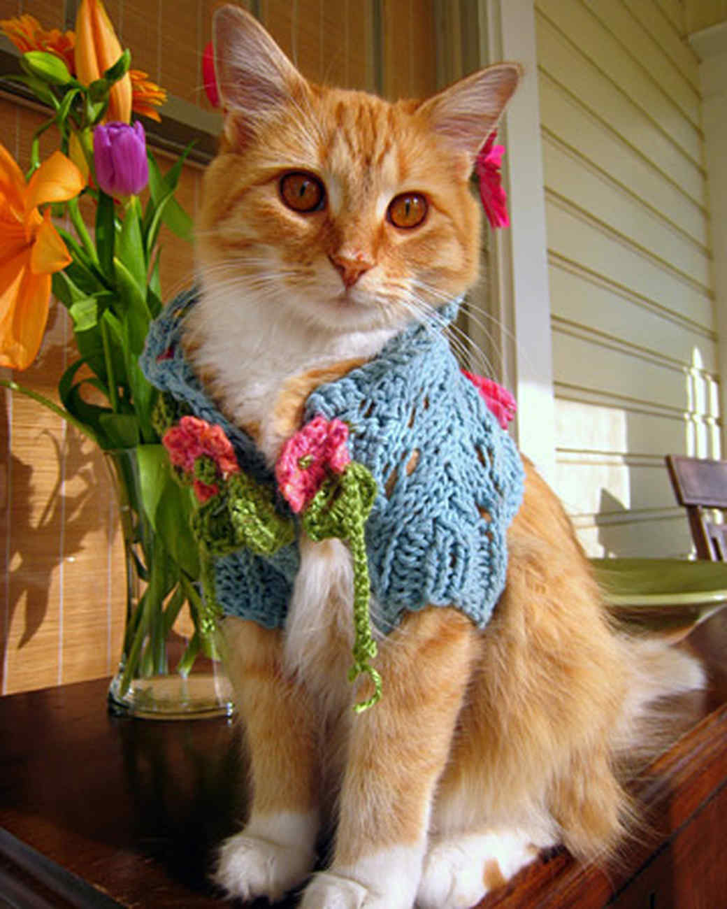 Cats 101 Martha Stewart