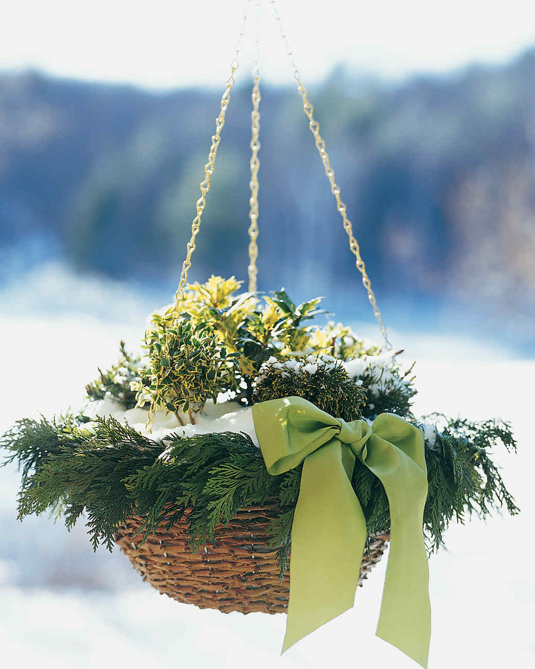 Holiday Greenery 101 Martha Stewart