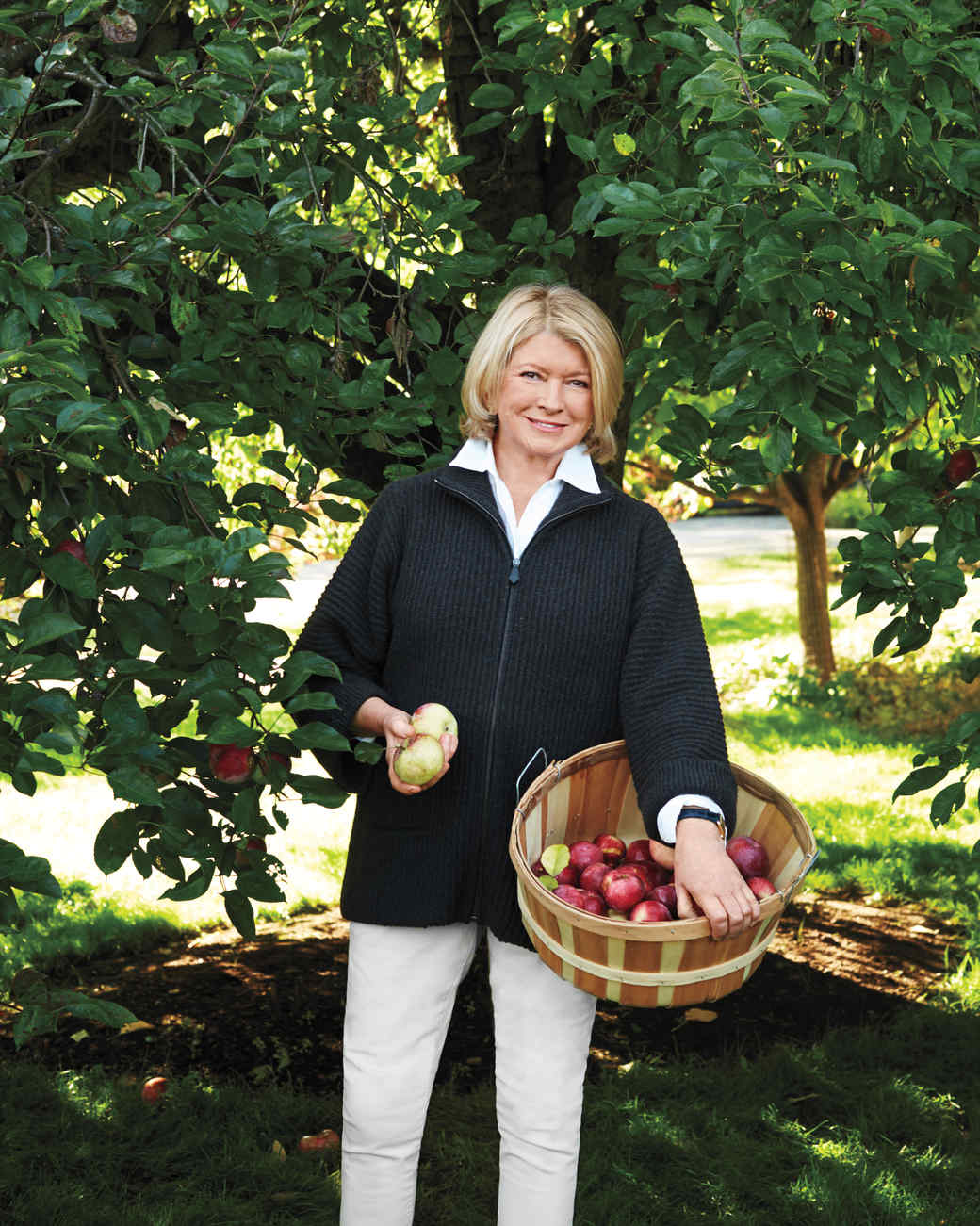 Applesauce Recipes from Breakfast to Dinner Martha Stewart