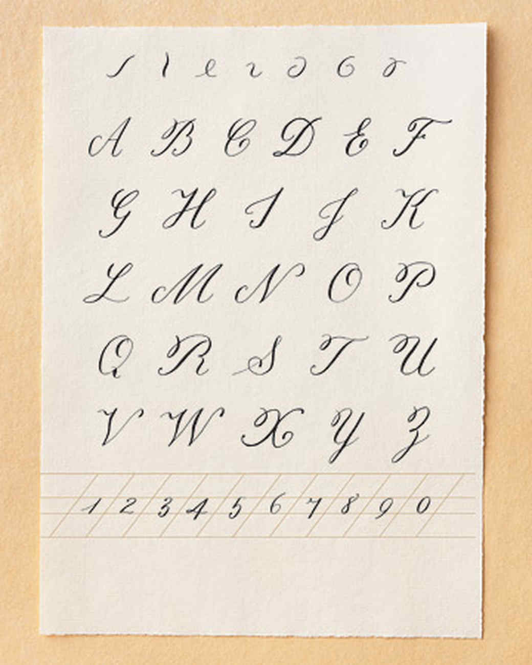 Calligraphy HowTo Martha Stewart