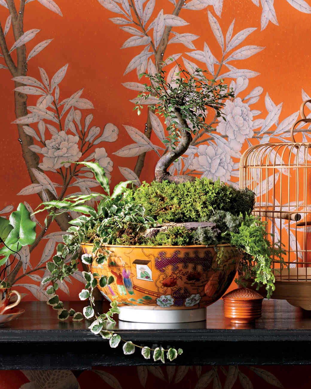 It's Alive! How to Make a Terrarium Martha Stewart