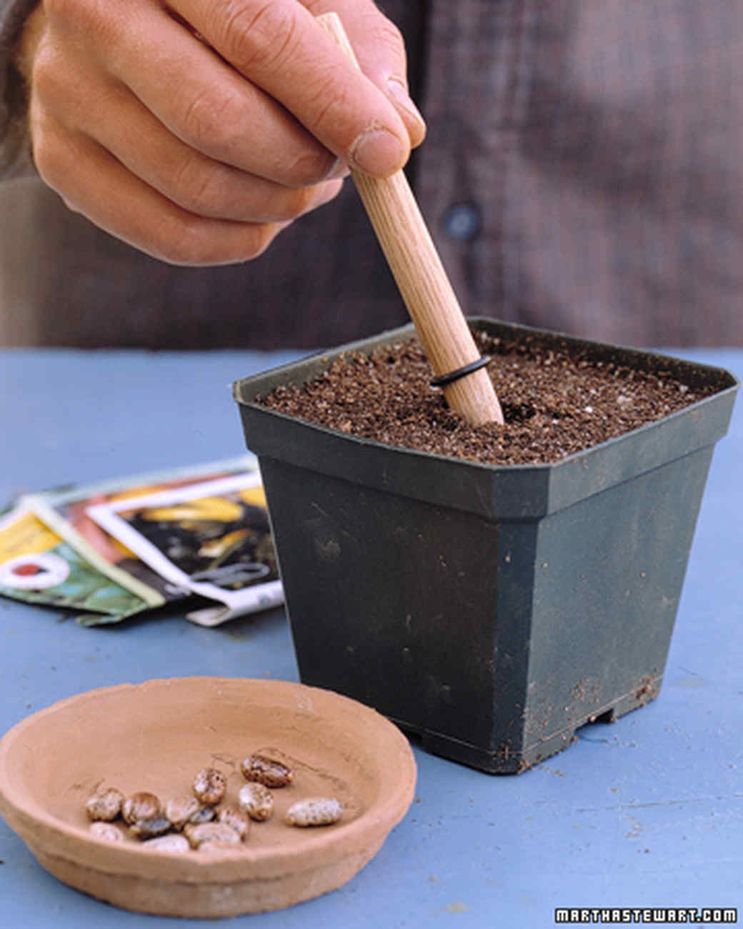 Garden Tool Glossary Martha Stewart