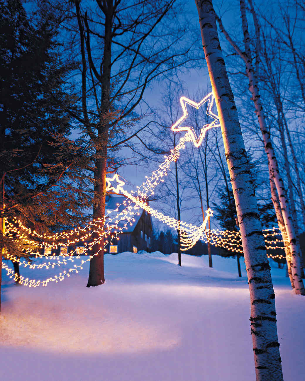 Martha Stewart Led Christmas Lights 