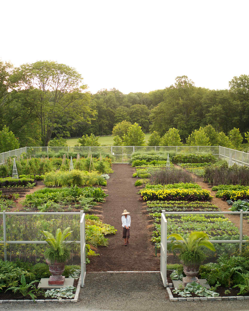 Cantitoe Corners Marthas Vegetable Garden Martha Stewart