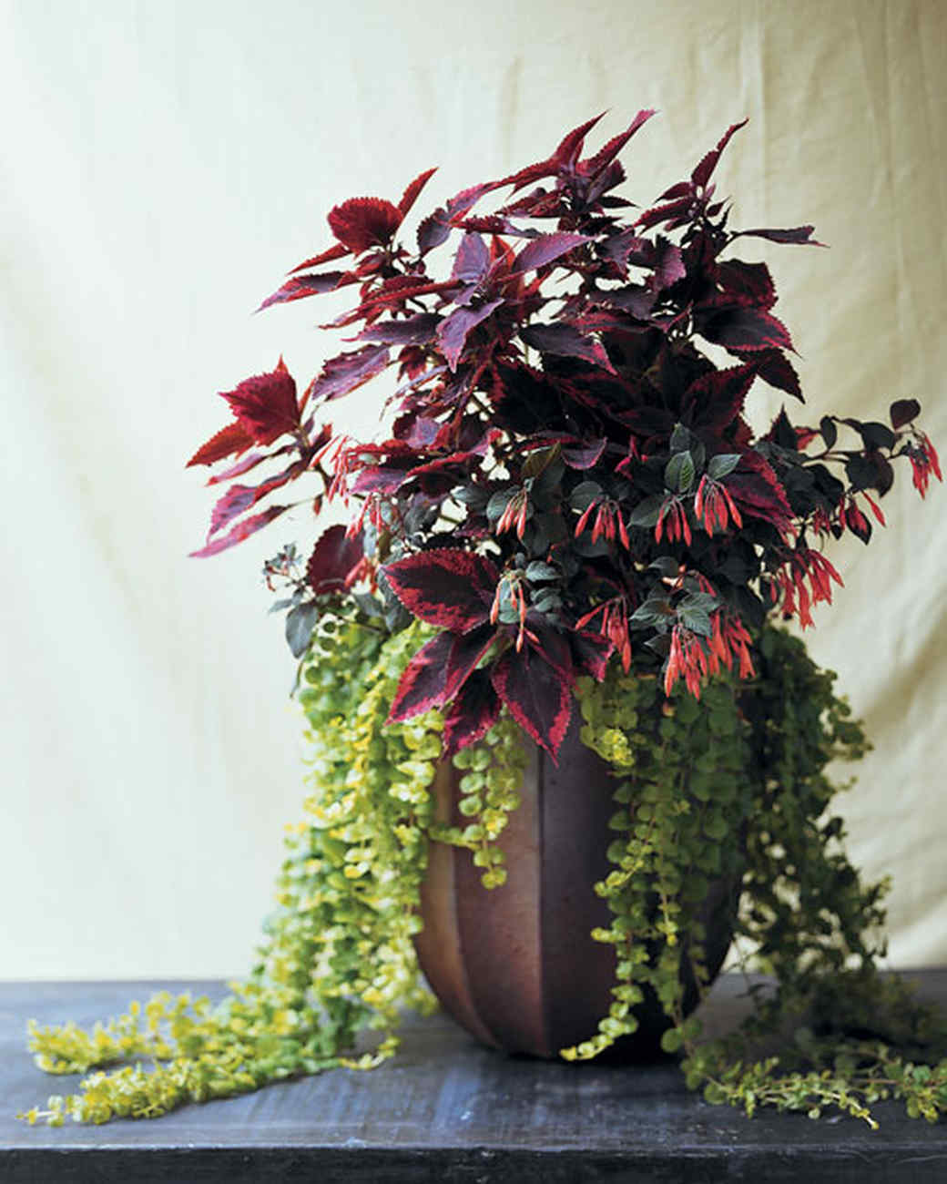 Container Garden Ideas for Any Household | Martha Stewart