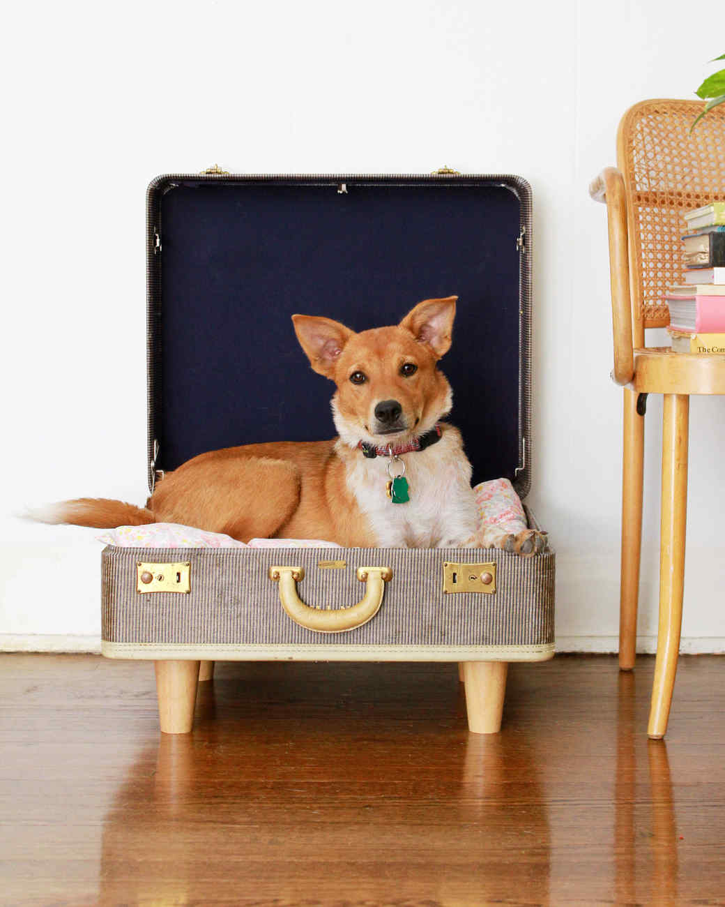 PetBed Suitcase & Video Martha Stewart